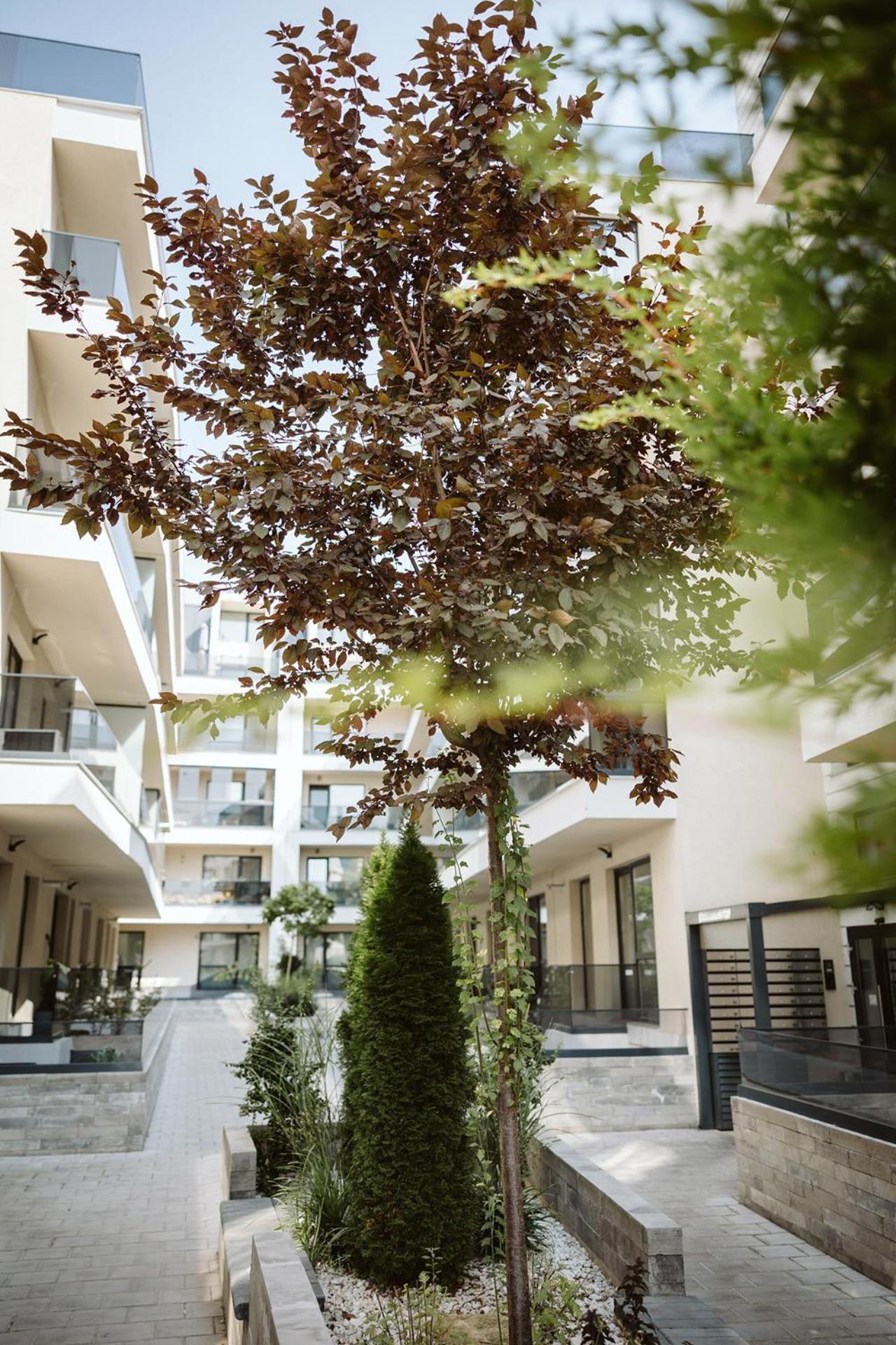 Dec Apartments Bukares Bagian luar foto